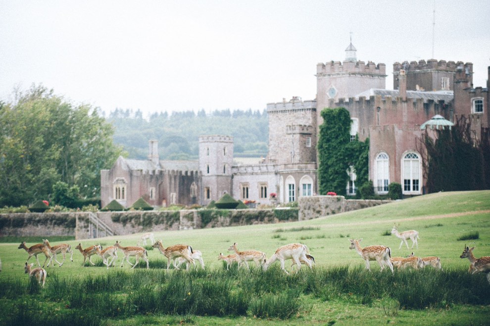 Powderham Castle to receive lifeline grant towards restoration of its